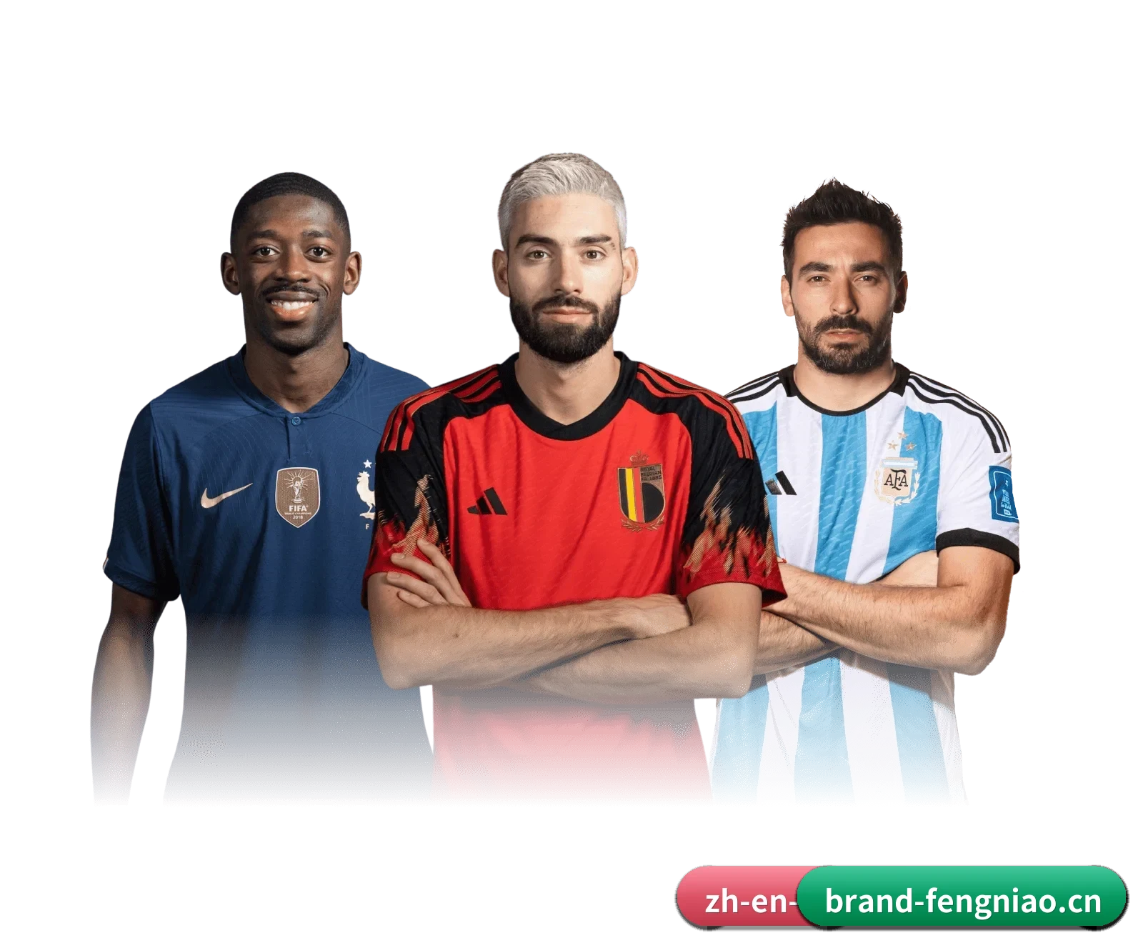 蜂鸟电竞 APP | FENGNIAO ESPORTS
